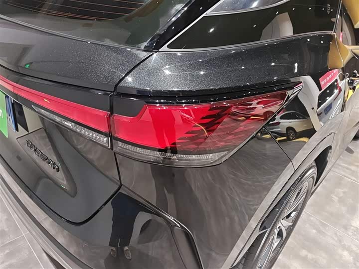 Фото 8 - Lexus RX