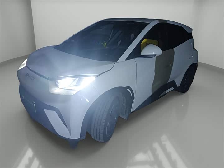 Фото 1 - BYD Seagull