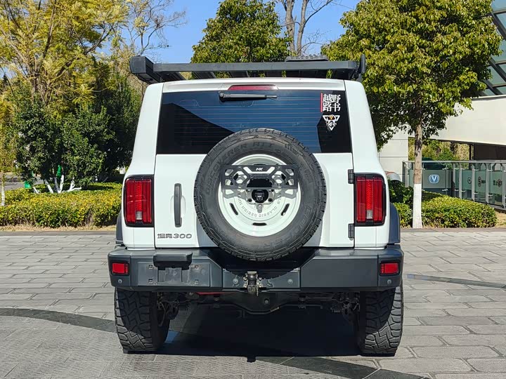 Фото 5 - Tank 300