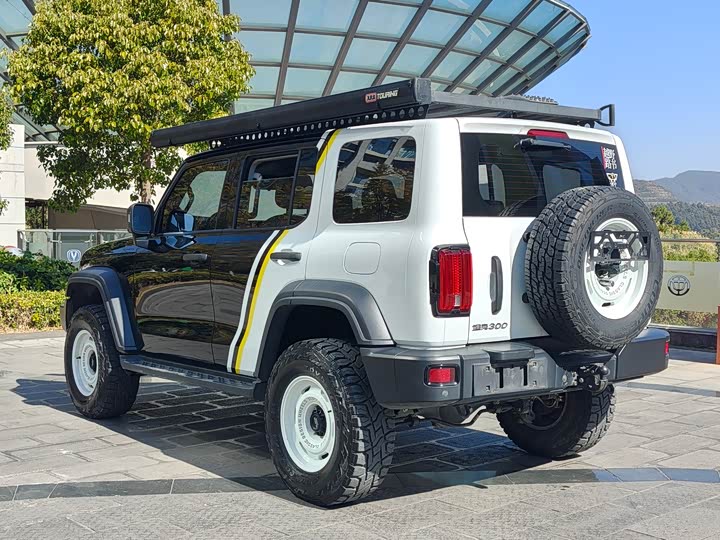 Фото 6 - Tank 300