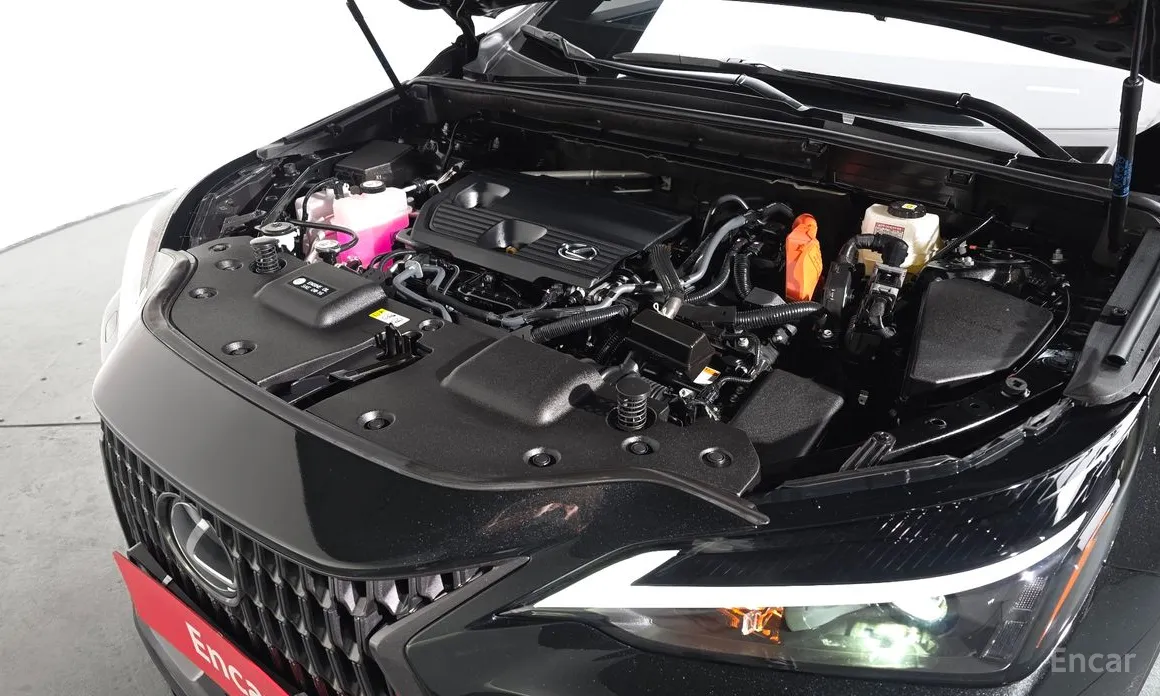 Фото 6 - Lexus NX