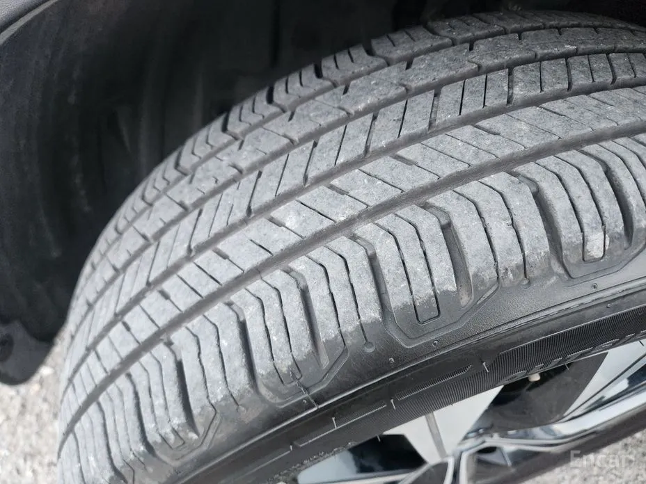 Фото 19 - Renault QM6