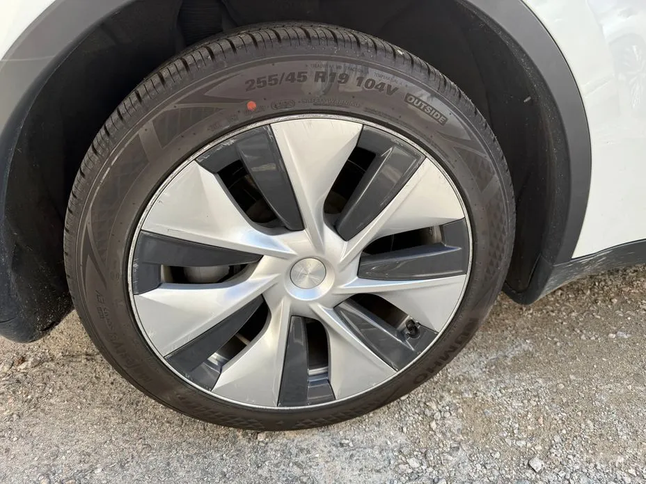 Фото 5 - Tesla Model Y