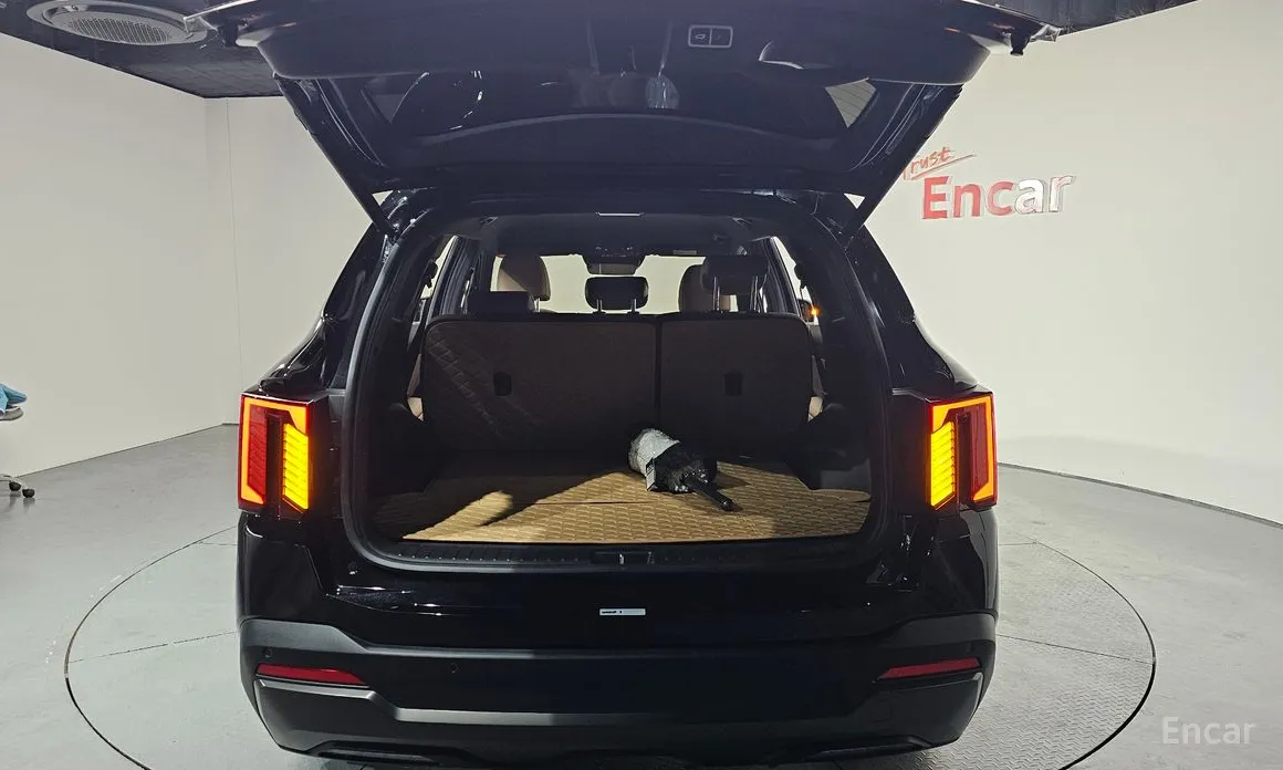 Фото 20 - Kia Sorento