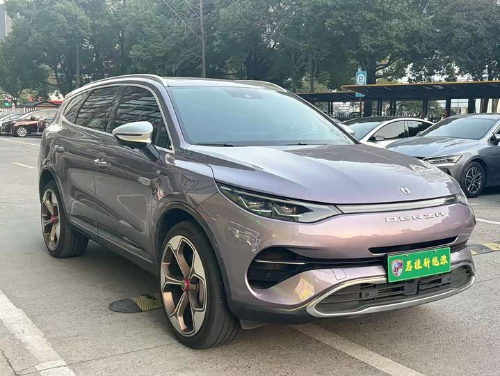 Фото 3 - Denza X