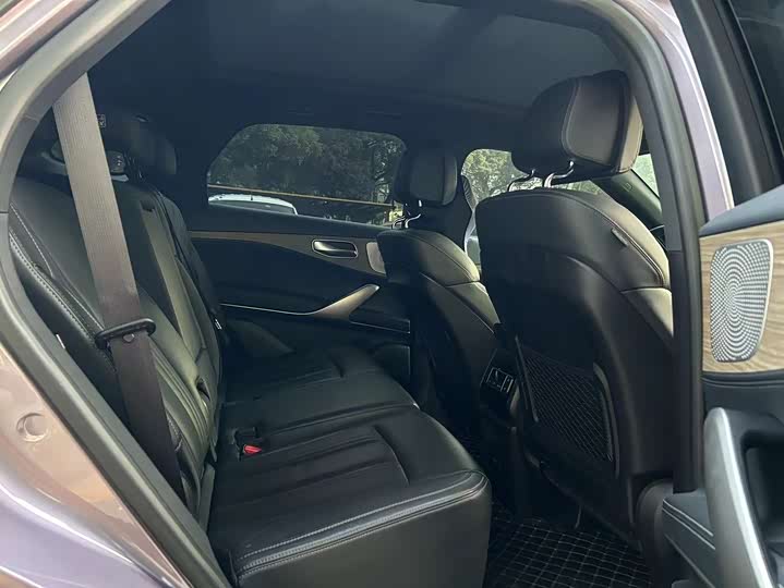 Фото 5 - Denza X