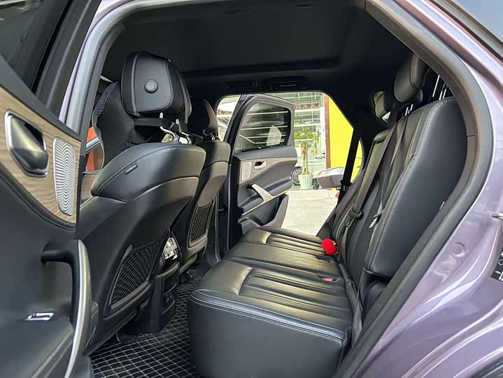 Фото 8 - Denza X