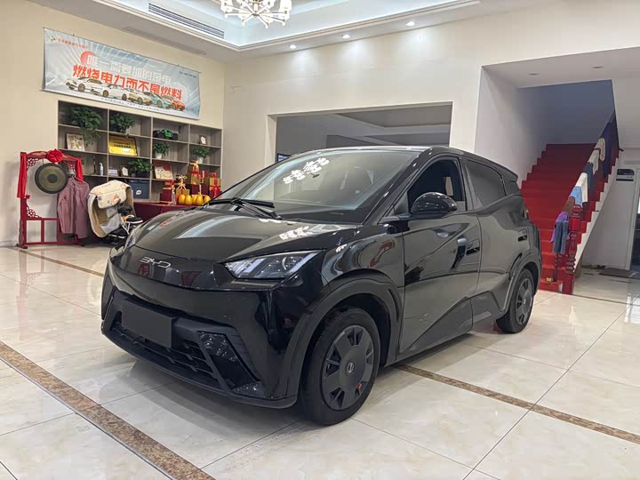 Фото 1 - BYD Seagull