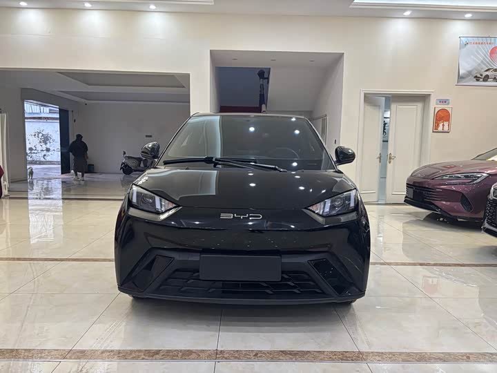 Фото 2 - BYD Seagull