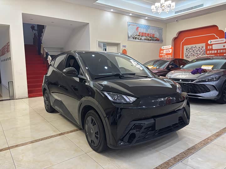 Фото 3 - BYD Seagull