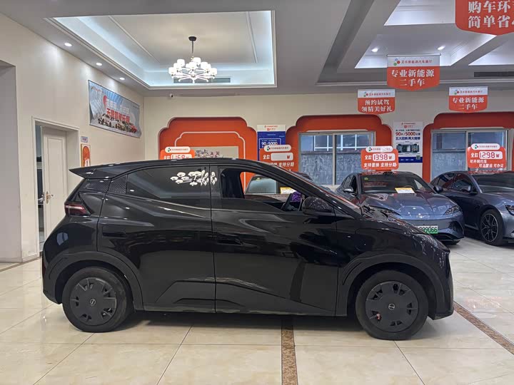 Фото 4 - BYD Seagull