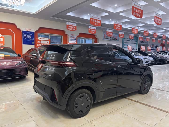 Фото 5 - BYD Seagull