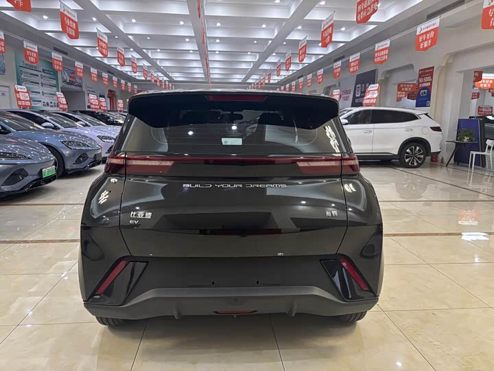 Фото 6 - BYD Seagull