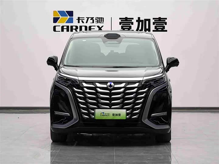 Фото 2 - Denza D9