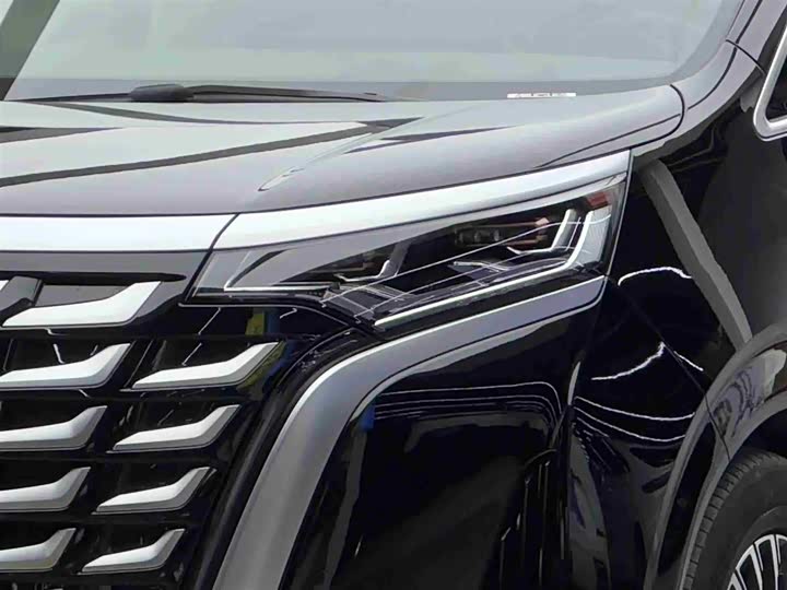 Фото 3 - Denza D9