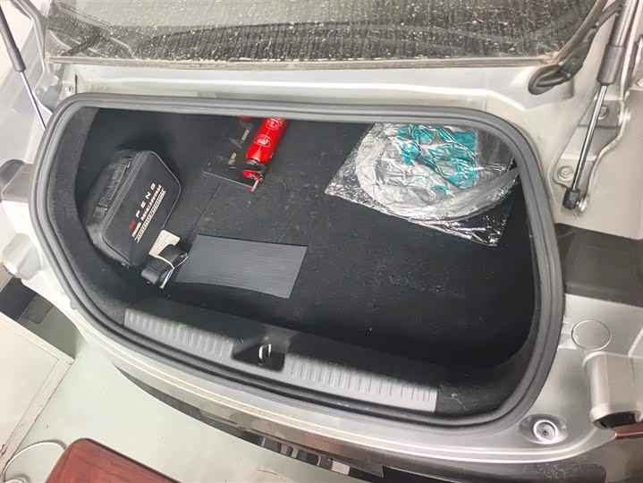 Фото 4 - XPeng P7