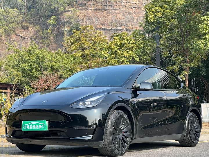 Фото 1 - Tesla Model Y