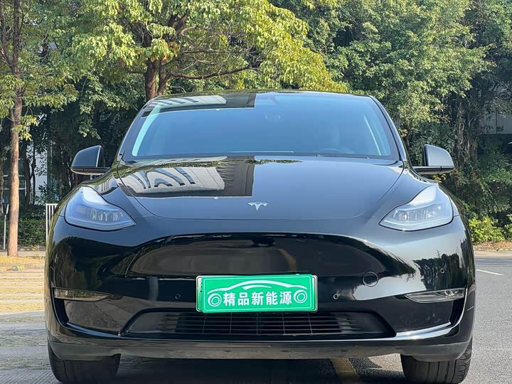 Фото 2 - Tesla Model Y