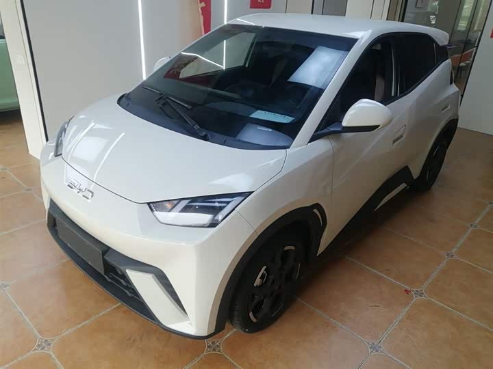 Фото 2 - BYD Seagull