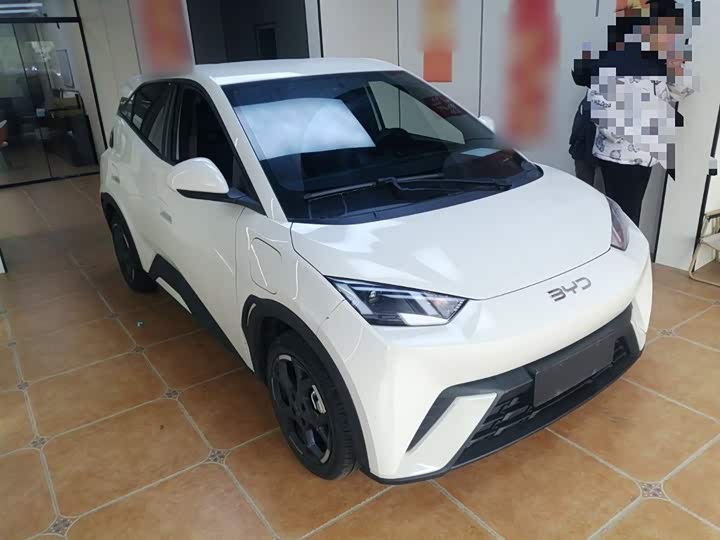 Фото 4 - BYD Seagull