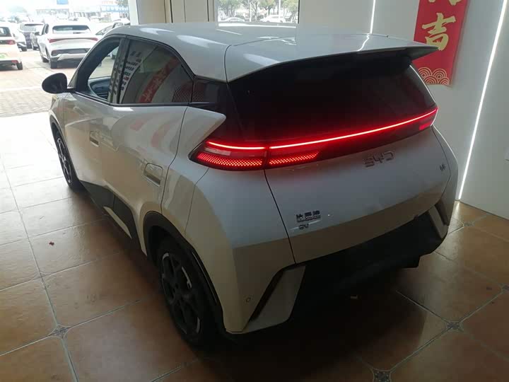 Фото 5 - BYD Seagull