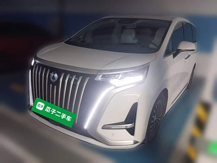 Фото 2 - Denza D9