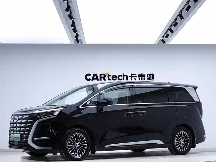 Фото 1 - Denza D9