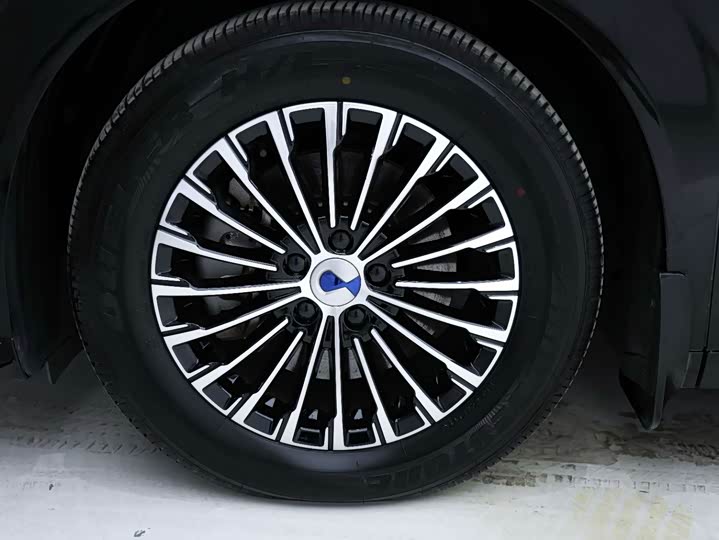 Фото 9 - Denza D9