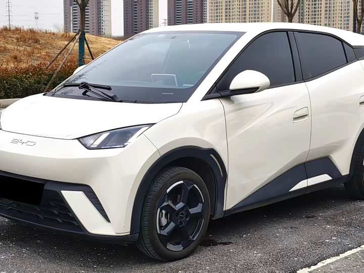 Фото 1 - BYD Seagull