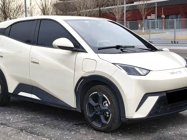 Фото 7 - BYD Seagull