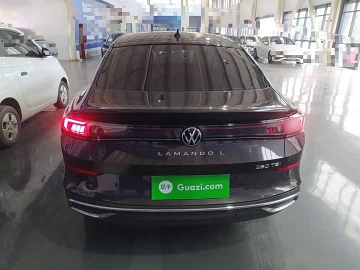 Фото 6 - Volkswagen Lamando L