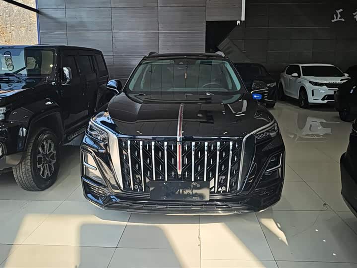 Фото 2 - Hongqi HS5