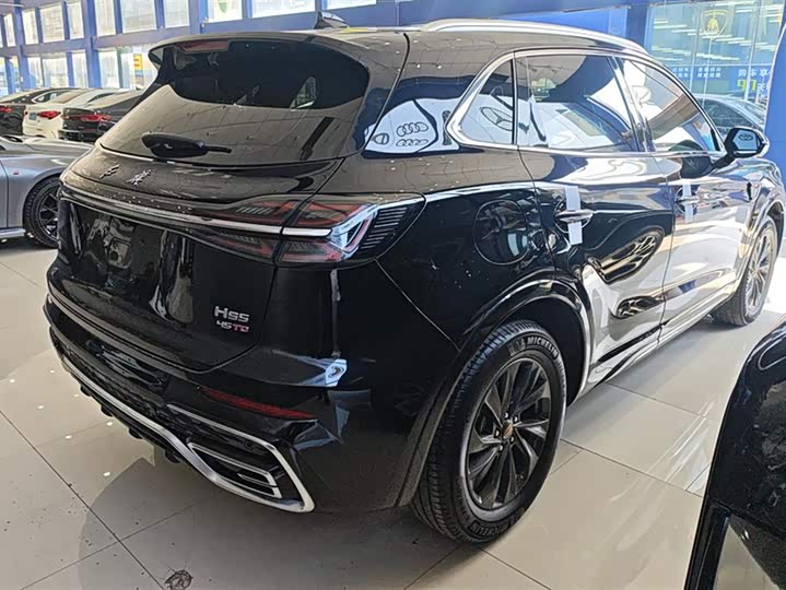 Фото 3 - Hongqi HS5