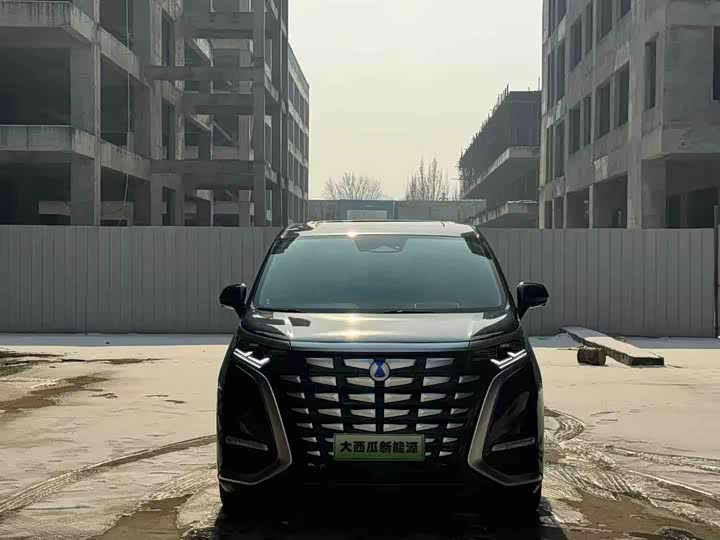 Фото 2 - Denza D9