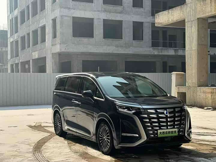 Фото 3 - Denza D9