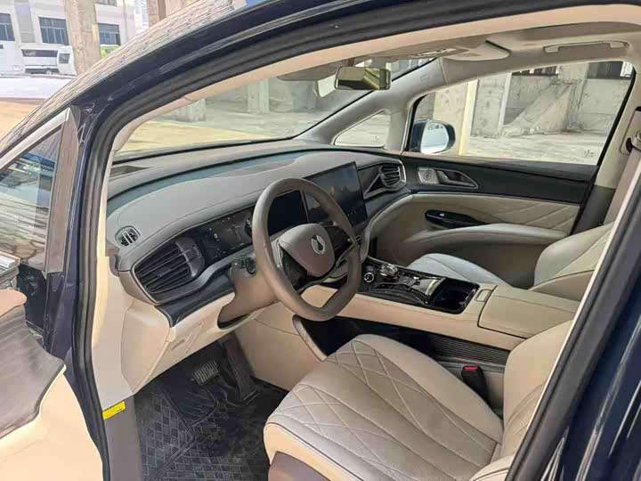 Фото 5 - Denza D9