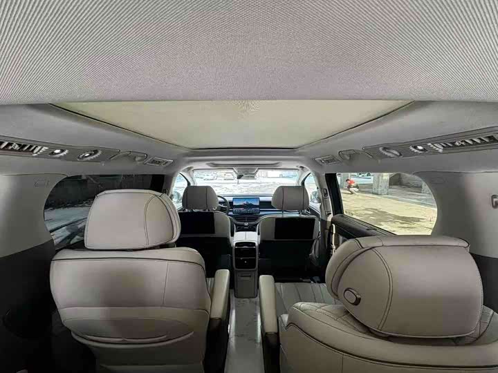 Фото 6 - Denza D9