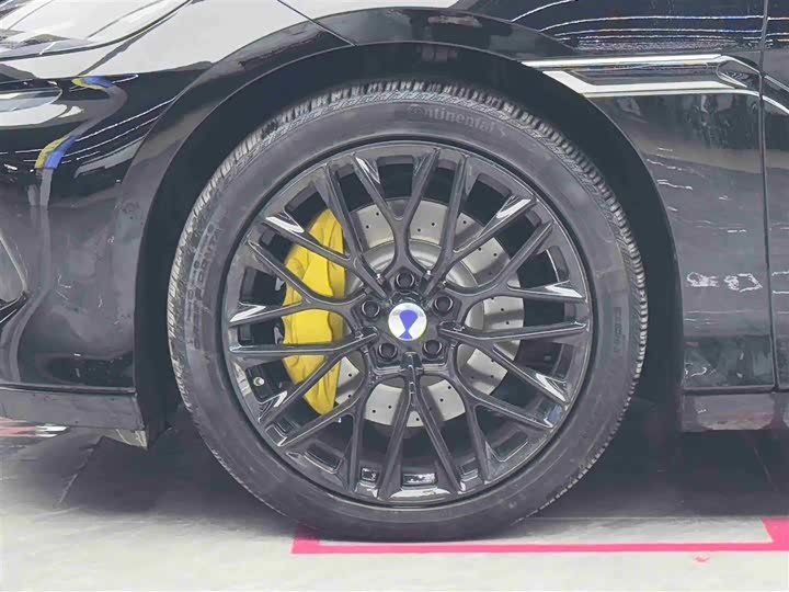 Фото 4 - Denza Z9GT