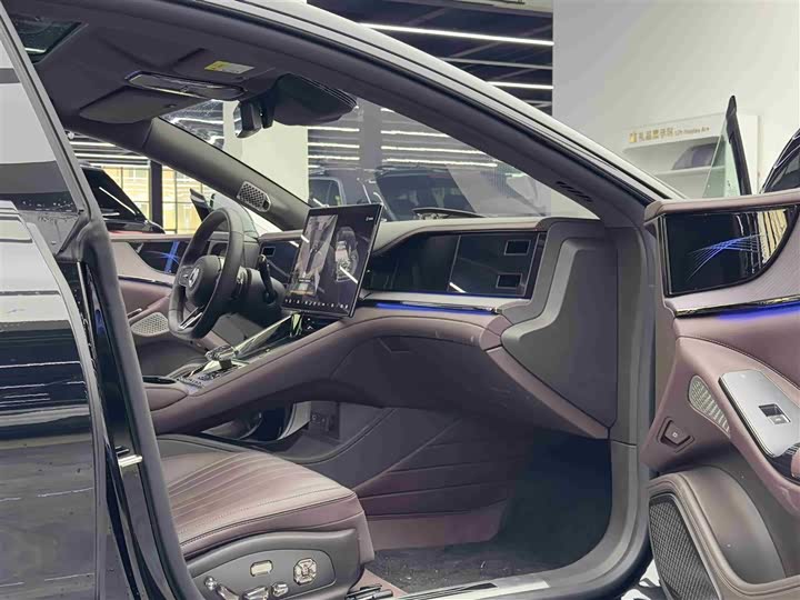 Фото 8 - Denza Z9GT