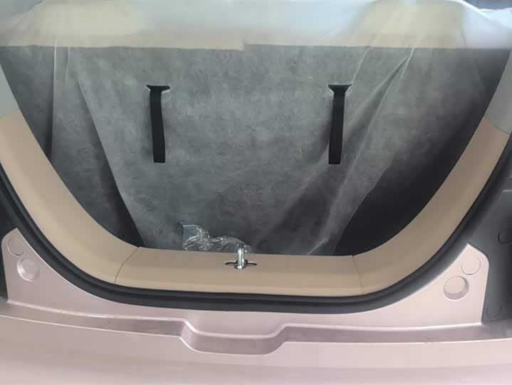 Фото 4 - Geely Galaxy Panda Mini