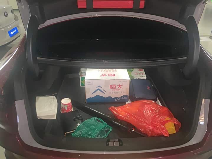 Фото 4 - BYD Han