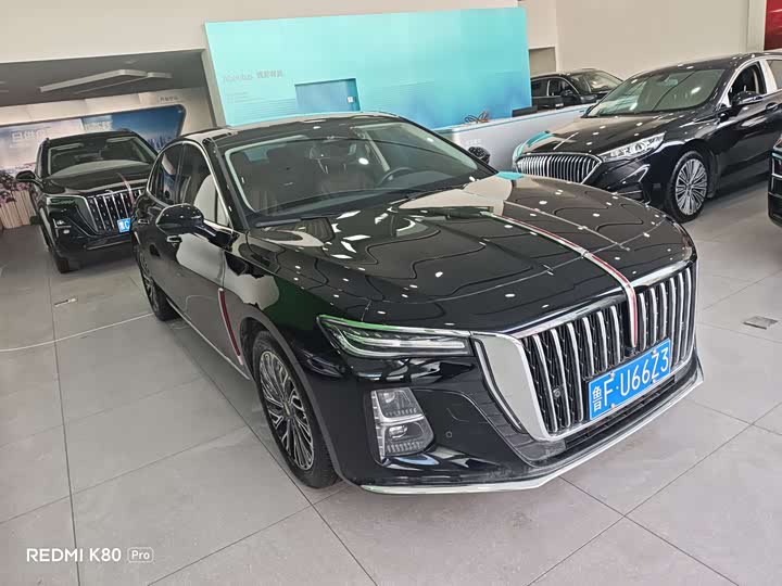 Фото 3 - Hongqi H5