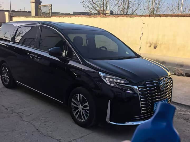 Фото 2 - Buick GL8 ES