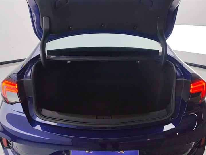 Фото 4 - Buick Regal