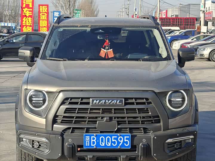 Фото 3 - Haval Dargo