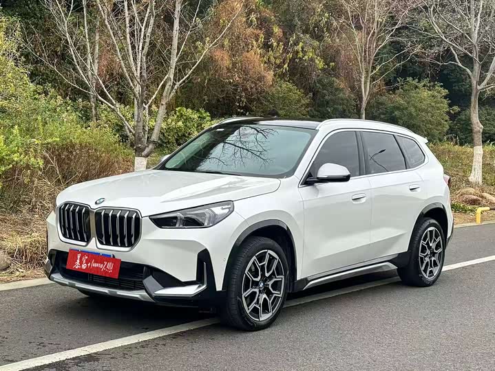 Фото 1 - BMW X1
