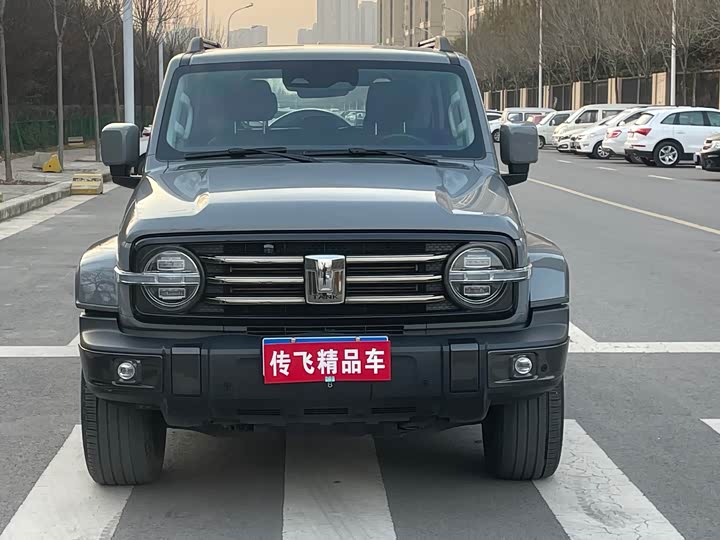 Фото 1 - Tank 300