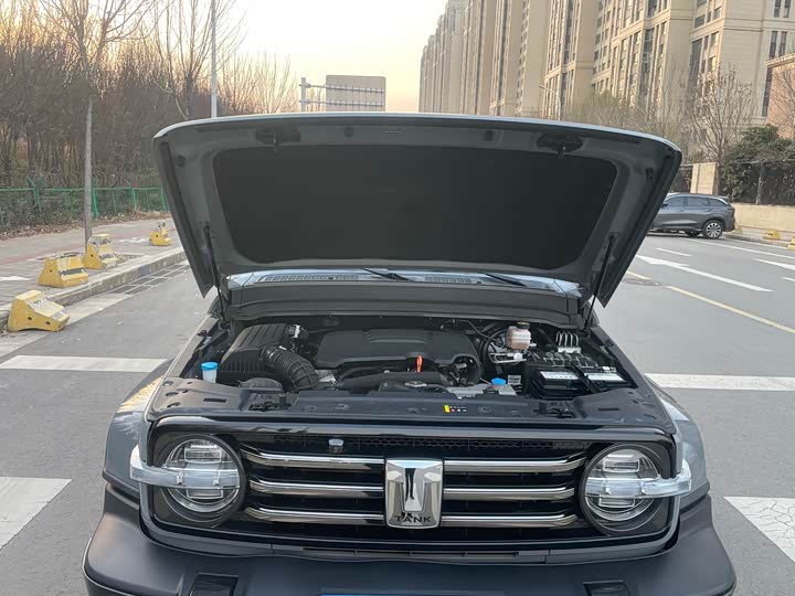 Фото 2 - Tank 300