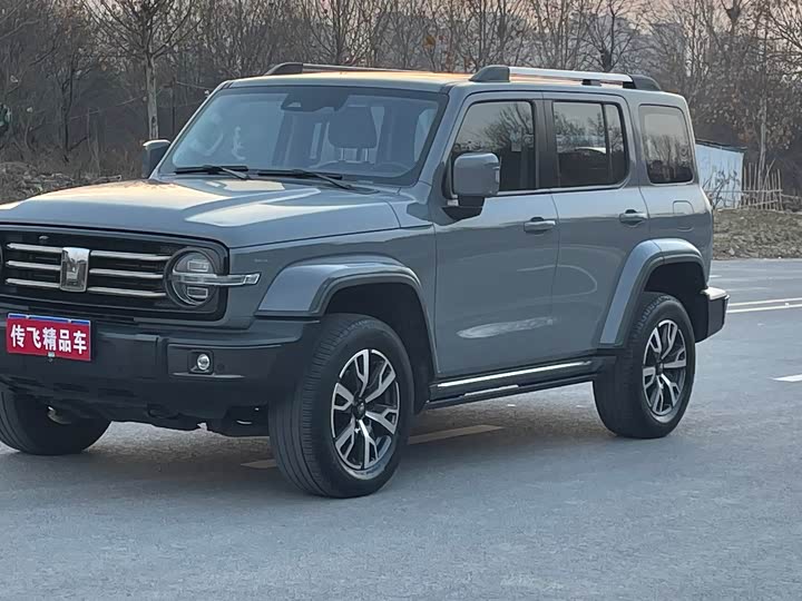 Фото 3 - Tank 300