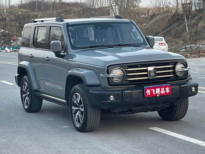 Фото 4 - Tank 300